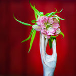 Square Format Fine Art