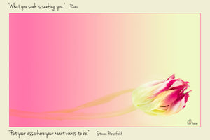 
                  
                    Load image into Gallery viewer, &amp;quot;Put Your Ass Where Your Hearts Wants To Be&amp;quot; Steven Pressfield &amp;quot;What You Seek Is Seeking You.&amp;quot; Rumi
                  
                