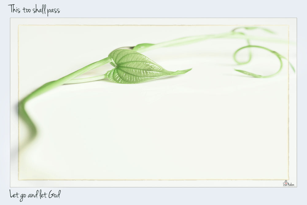 
                  
                    Load image into Gallery viewer, Let Go And Let God - This Too Shall Pass
                  
                