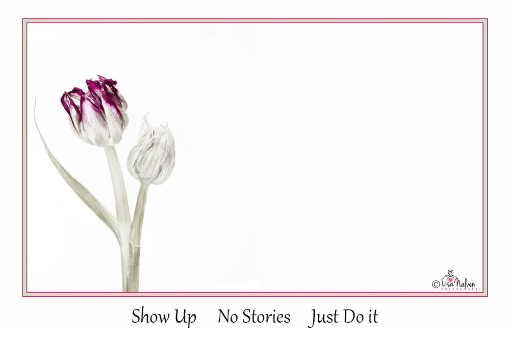 
                  
                    Load image into Gallery viewer, Show Up  -  No Stories  -  Just Do It
                  
                