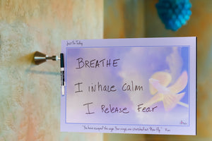 
                  
                    Load image into Gallery viewer, Just For Today -   &amp;quot;You Have Escaped The Cage, Now Fly&amp;quot;    Rumi
                  
                